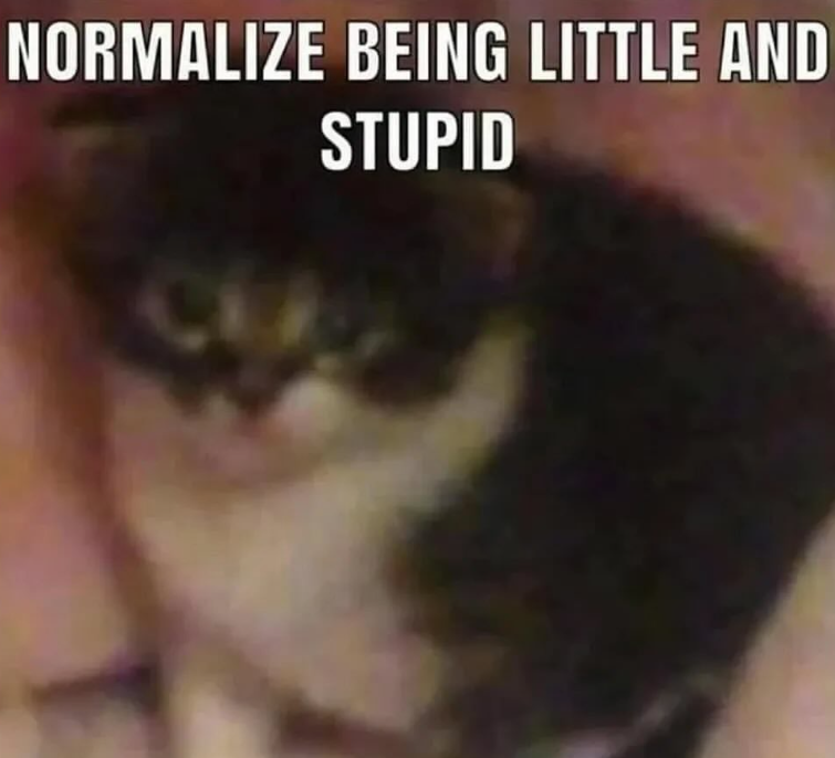 NORMALIZE BEING LITTLE AND STUPID