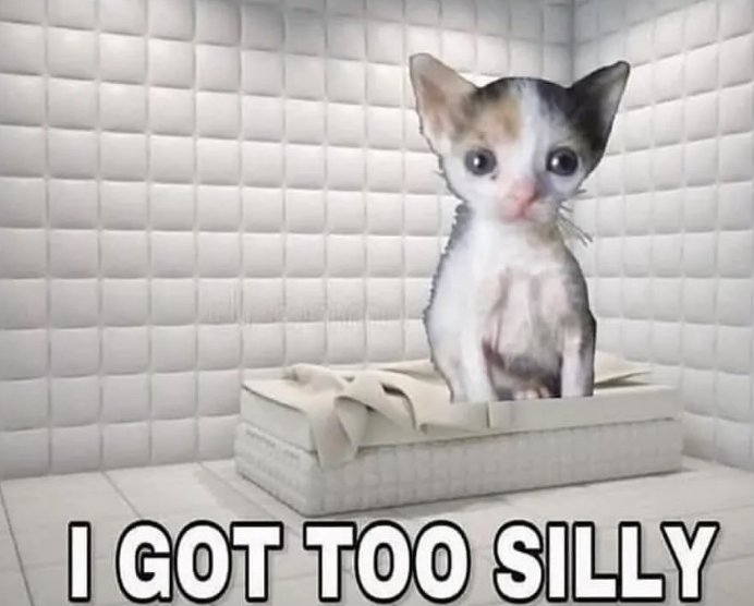 I GOT TOO SILLY