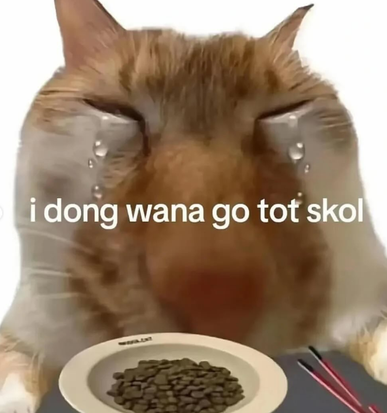 i dong wana go tot skol FILENT