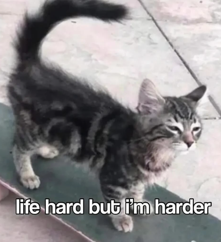 life hard but i'm harder