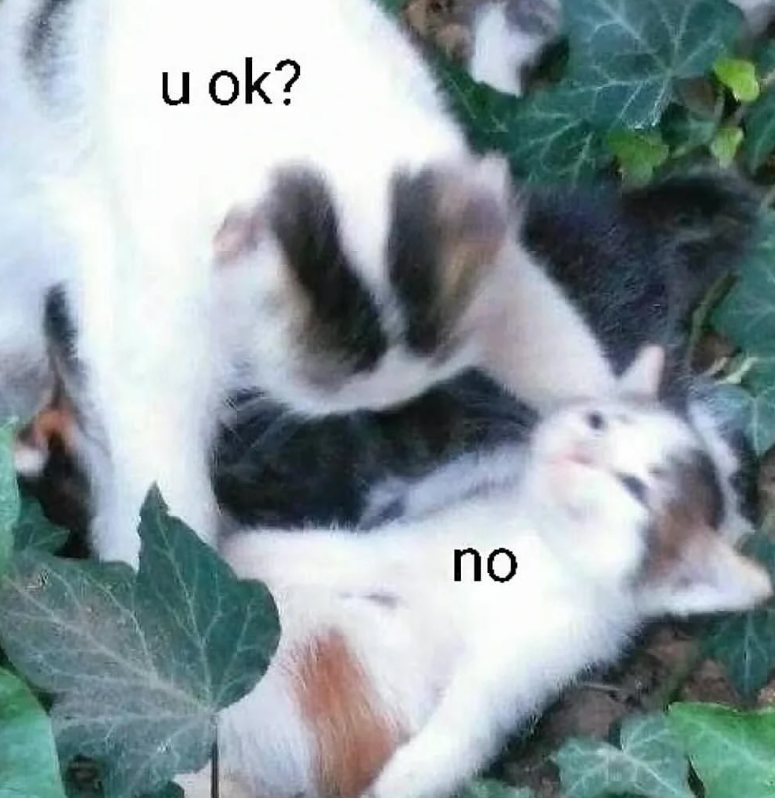 u ok? no