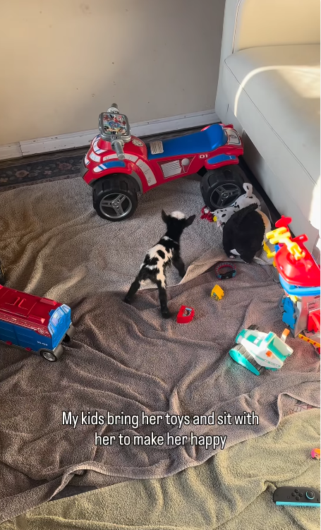 JL My kids bring her toys and sit with her to make her happy