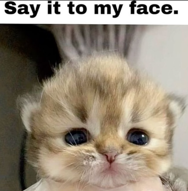 Say it to my face.