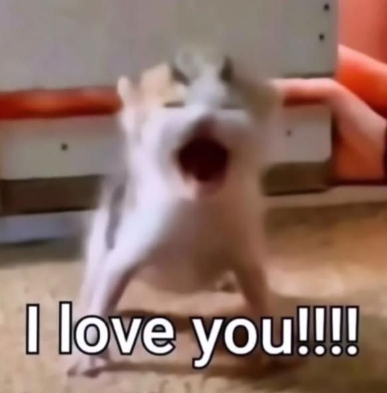 I love you!!!!