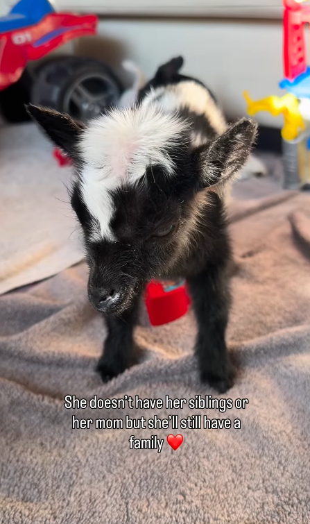 11 She doesn't have her siblings or her mom but she'll still have a family