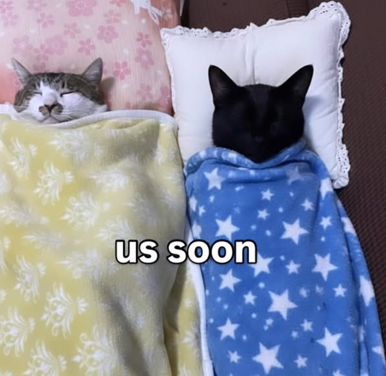 us soon