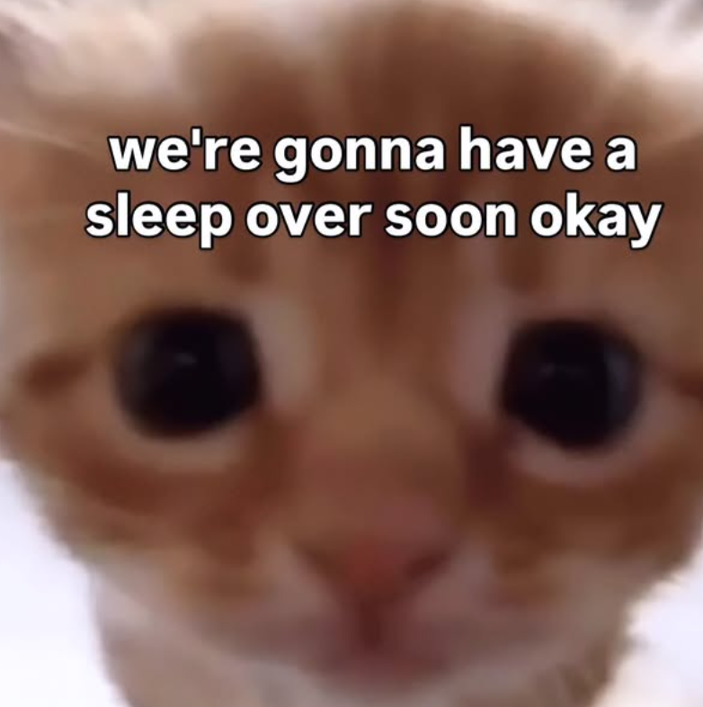 we're gonna have a sleep over soon okay
