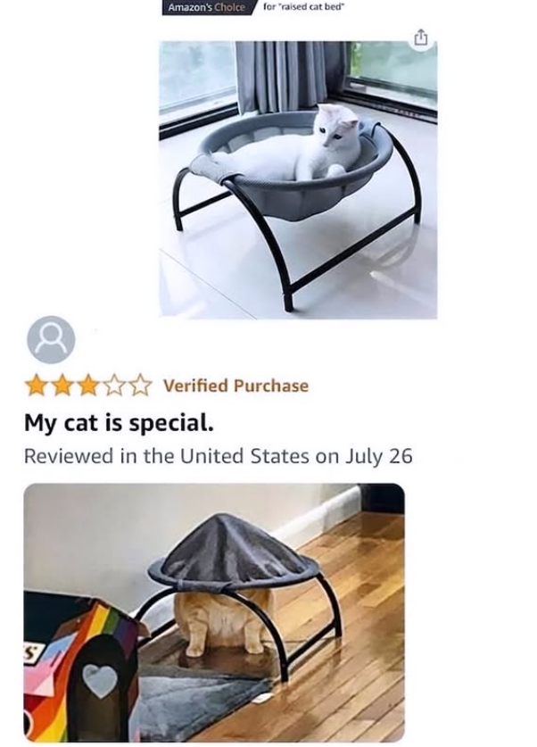 S Amazon's Choice for "raised cat bed" Verified Purchase My cat is special. Reviewed in the United States on July 26 G