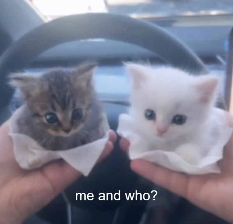 me and who?