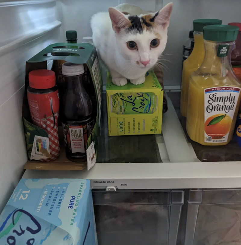 LIME SPARKLING WATER CONTRAL ATHEN -CALORIE -SWEETENER INDOOR whigos- 8 M LIME roi La Innocen BOAR SPARKLING WATER PURE 0-CALORIE 0-SWEETENER 0-SODIUM ПЛОСЕЛТ! 12 SPARKLING CAM