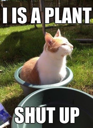 I IS A PLANT SHUT UP