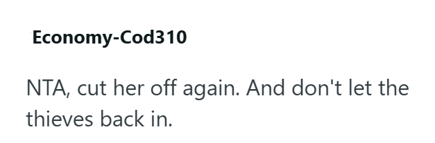 Economy-Cod310 NTA, cut her off again. And don't let the thieves back in.