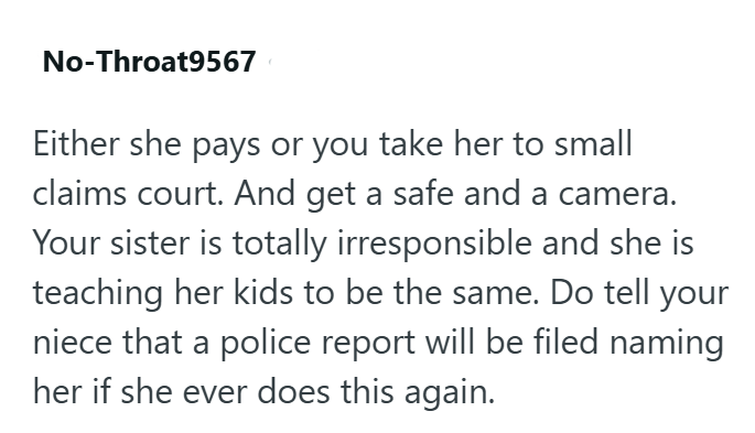 No-Throat9567 Either she pays or you take her to small claims court. And get a safe and a camera. Your sister is totally irresponsible and she is teaching her kids to be the same. Do tell your niece that a police report will be filed naming her if she ever does this again.