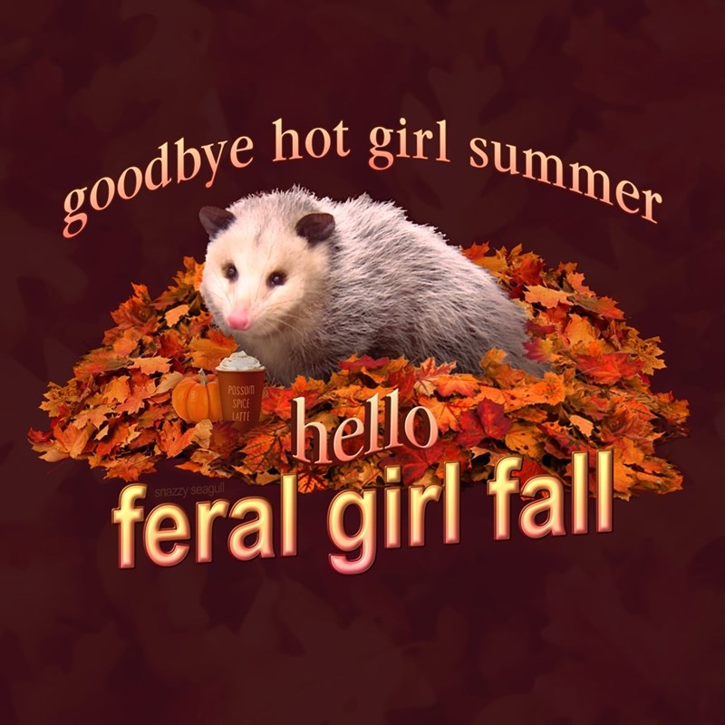 goodbye hot girl summer POSSUM SPICE LATTE hello feral girl fall