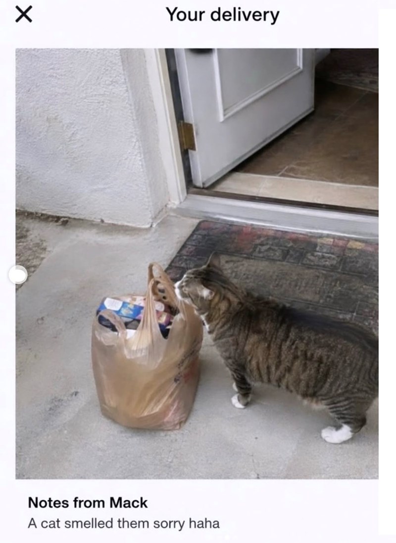 ✓ Your delivery Notes from Mack A cat smelled them sorry haha