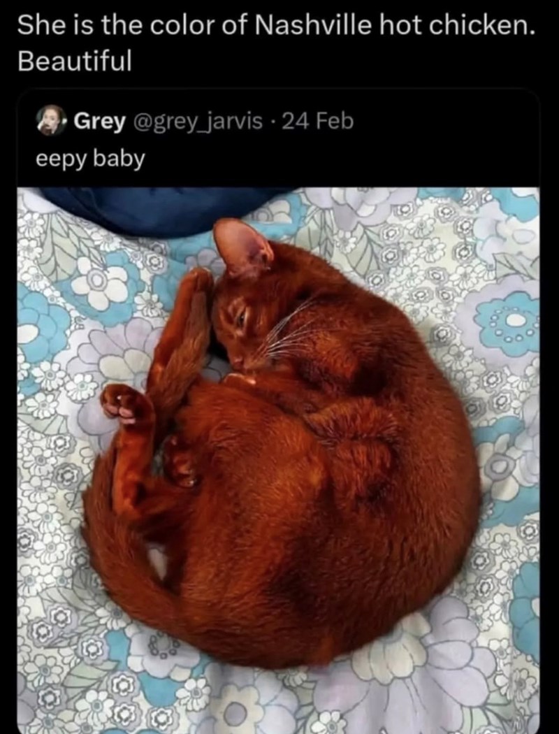 She is the color of Nashville hot chicken. Beautiful Grey@grey_jarvis - 24 Feb eepy baby 00