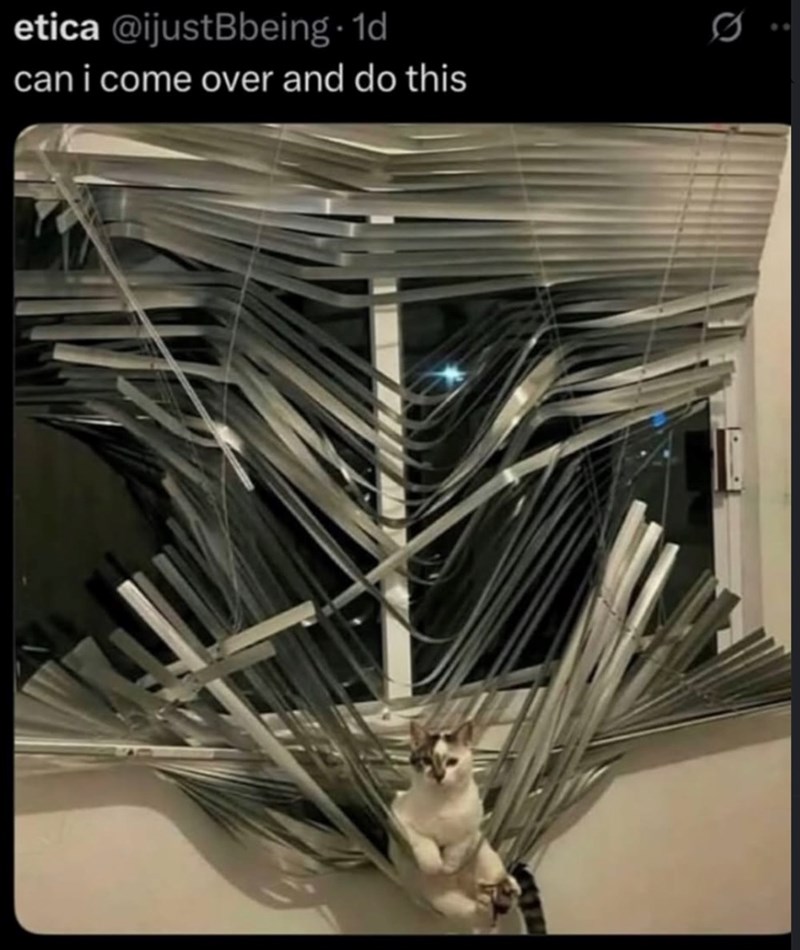 etica @ijustBbeing. 1d can i come over and do this