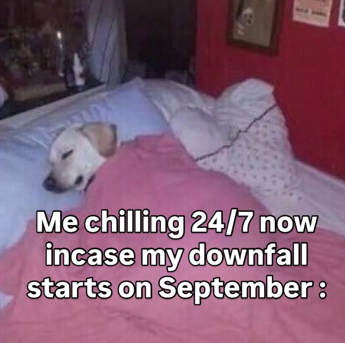 Me chilling 24/7 now incase my downfall starts on September: