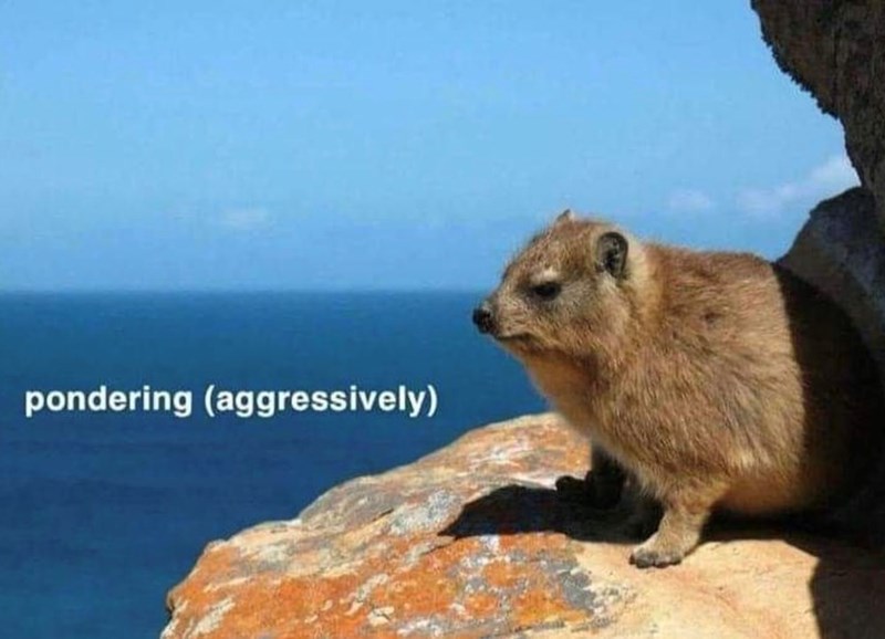 pondering (aggressively)