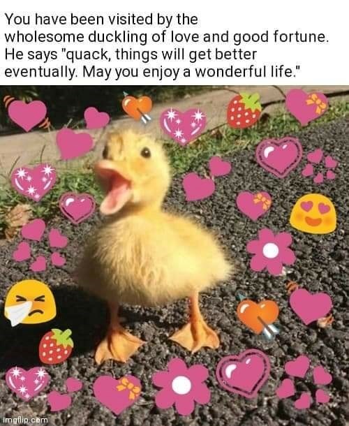 You have been visited by the wholesome duckling of love and good fortune. He says "quack, things will get better eventually. May you enjoy a wonderful life." imgflip.com