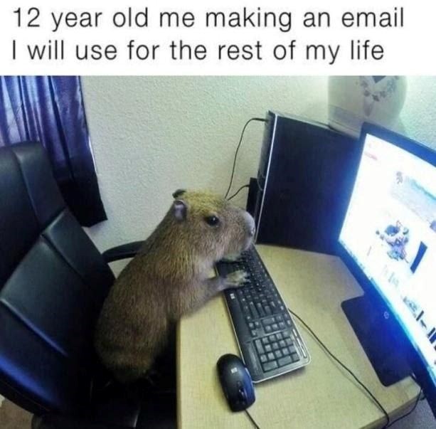 12 year old me making an email I will use for the rest of my life