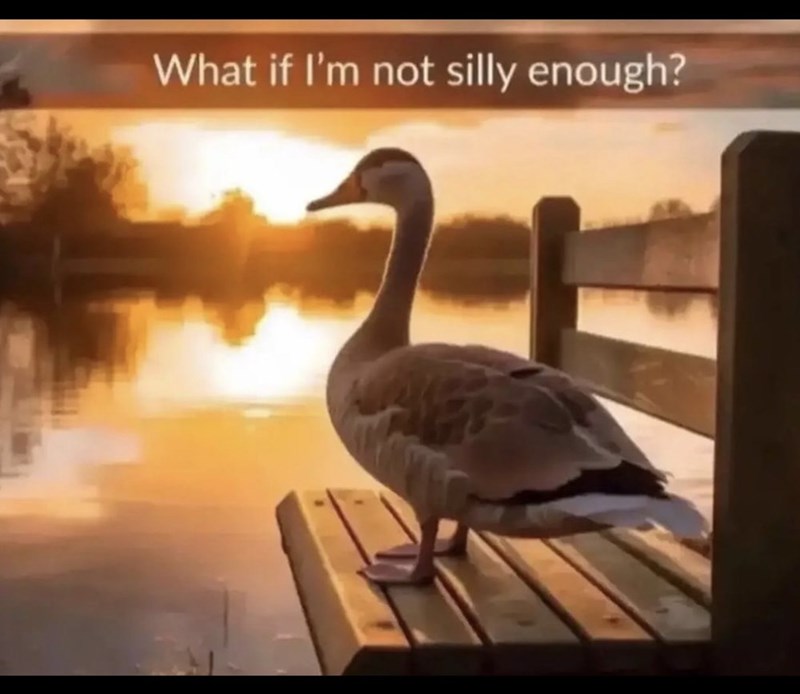 What if I'm not silly enough?