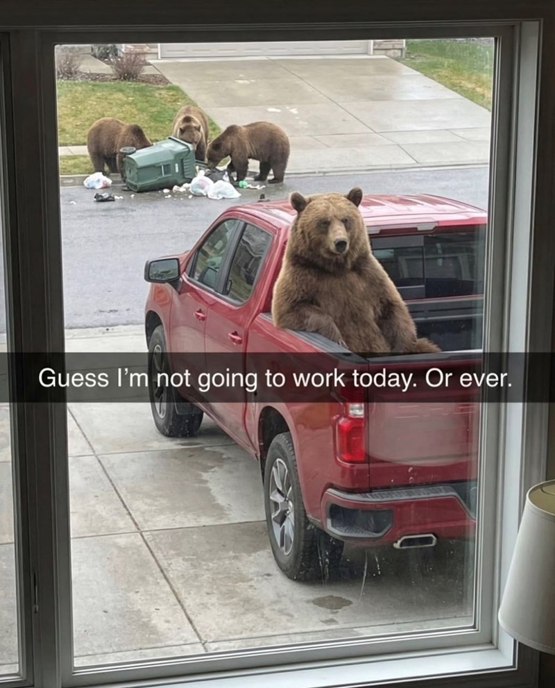 Guess I'm not going to work today. Or ever.