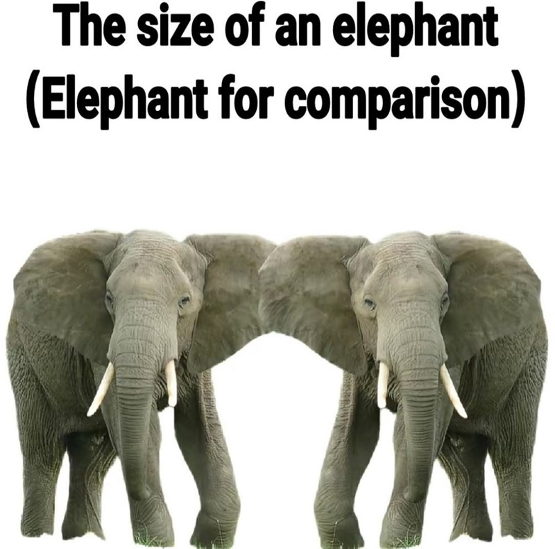 The size of an elephant (Elephant for comparison)