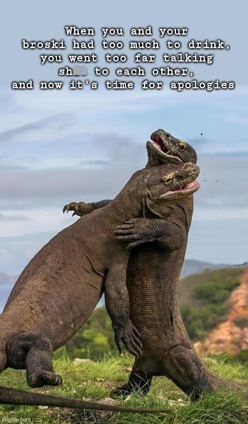 When you and your broski had too much to drink, you went too far talking sh to each other, and now it's time for apologies imgflip.com