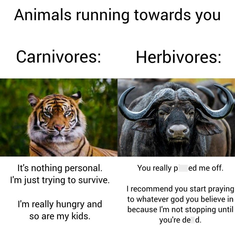 Animals running towards you Carnivores: Herbivores: It's nothing personal. I'm just trying to survive. I'm really hungry and so are my kids. You really p ed me off. I recommend you start praying to whatever god you believe in because I'm not stopping until you're de d.