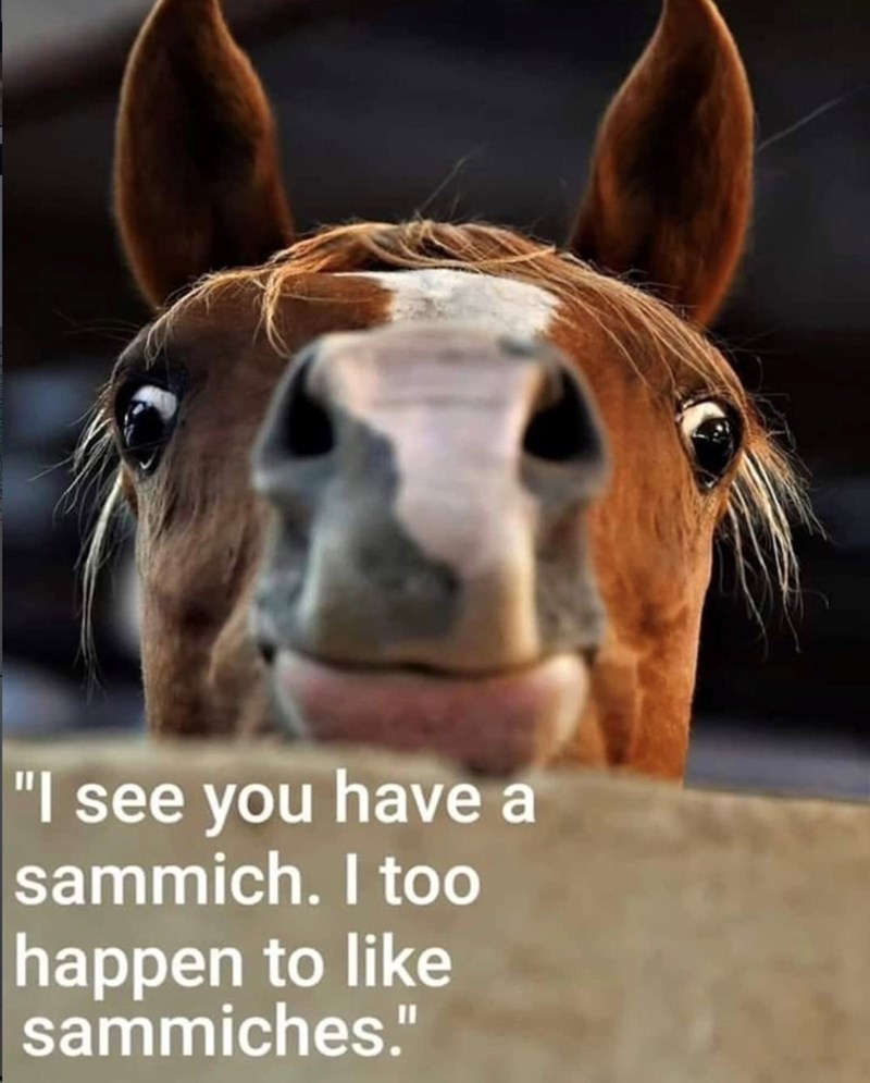 "I see you have a sammich. I too happen to like sammiches."