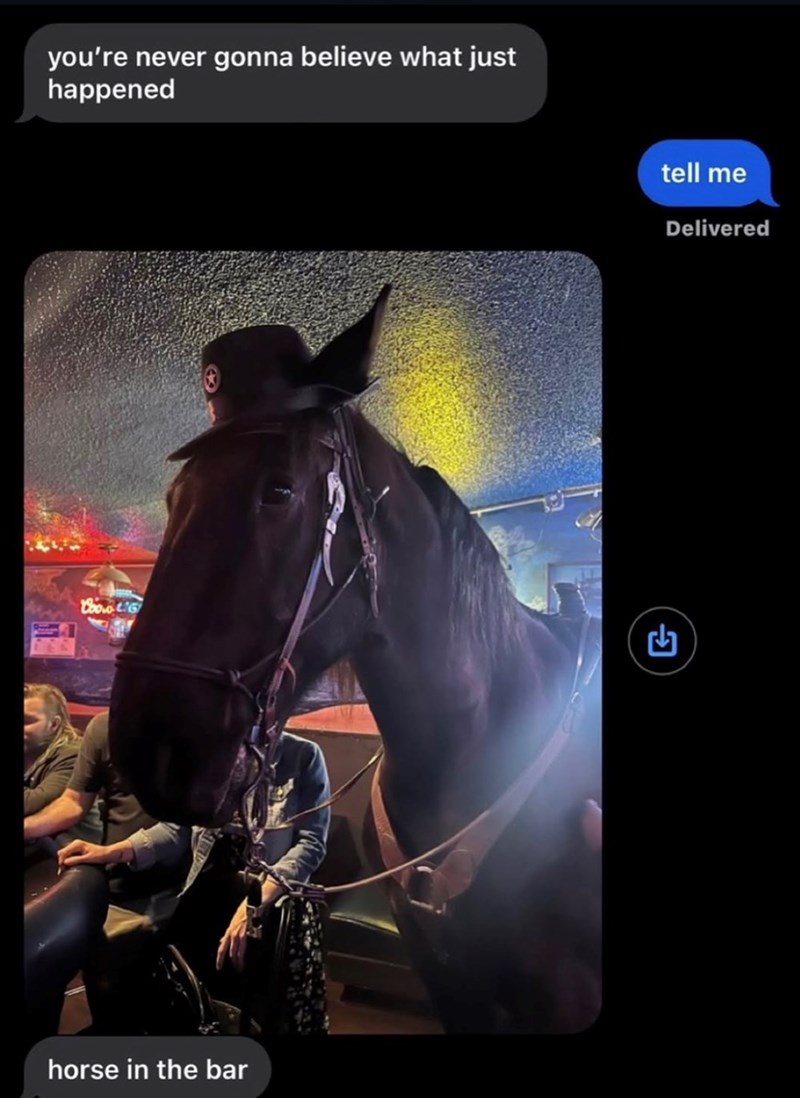 you're never gonna believe what just happened CooLG horse in the bar tell me Delivered -J