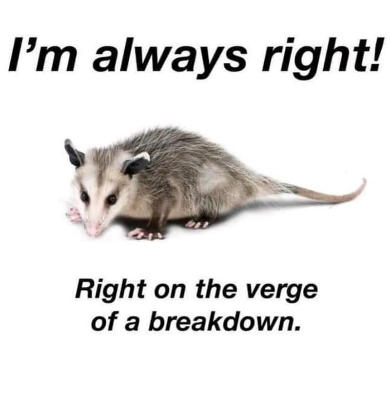 I'm always right! Right on the verge of a breakdown.