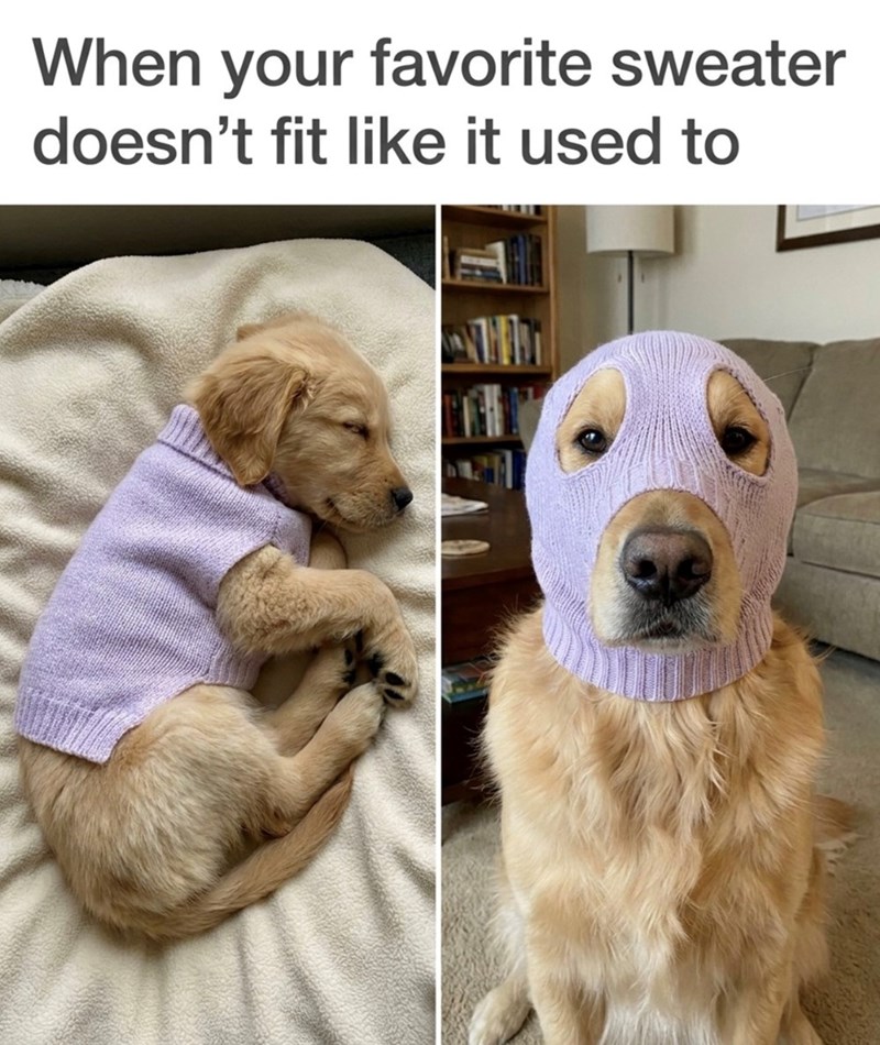 When your favorite sweater doesn't fit like it used to