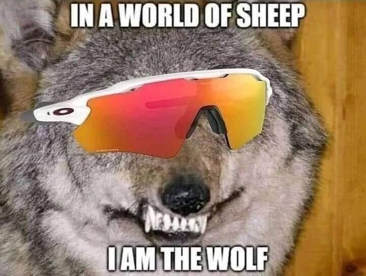 O IN A WORLD OF SHEEP I AM THE WOLF