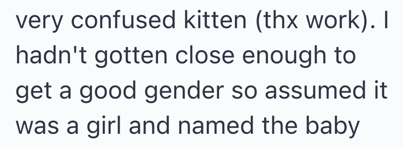 very confused kitten (thx work). I hadn't gotten close enough to get a good gender so assumed it was a girl and named the baby