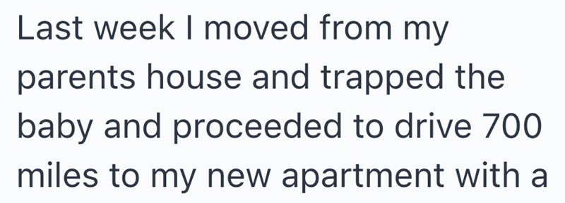 Last week I moved from my parents house and trapped the baby and proceeded to drive 700 miles to my new apartment with a