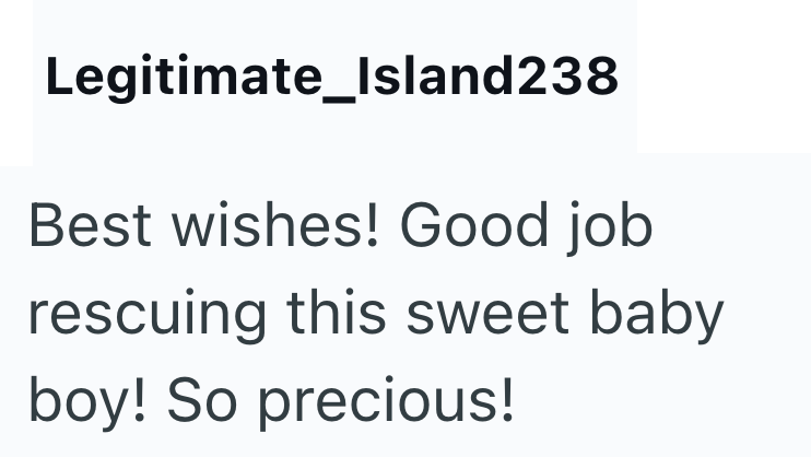 Legitimate_Island238 Best wishes! Good job rescuing this sweet baby boy! So precious!