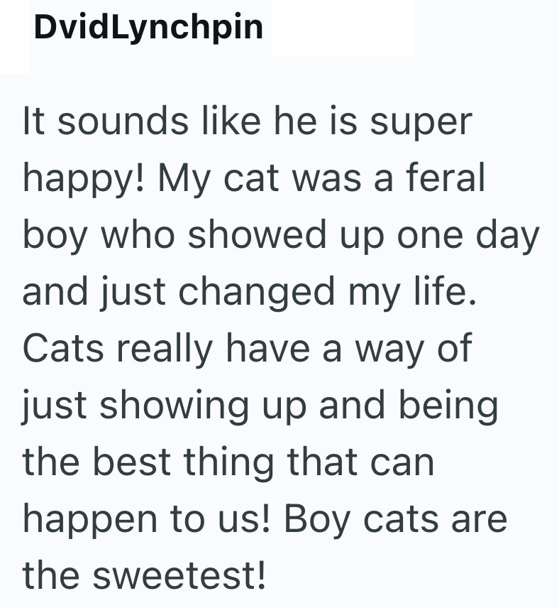 DvidLynchpin It sounds like he is super happy! My cat was a feral boy who showed up one day and just changed my life. Cats really have a way of just showing up and being the best thing that can happen to us! Boy cats are the sweetest!