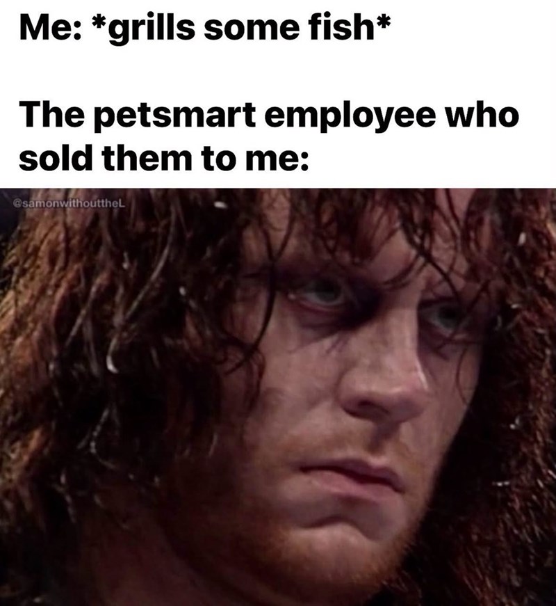 Me: *grills some fish* The petsmart employee who sold them to me: @samonwithouttheL