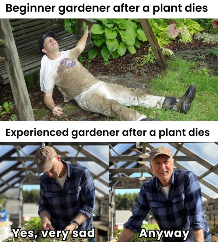 Beginner gardener after a plant dies Experienced gardener after a plant dies Yes, very sad Anyway