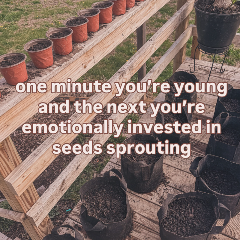 one minute you're young and the next you're emotionally invested in seeds sprouting