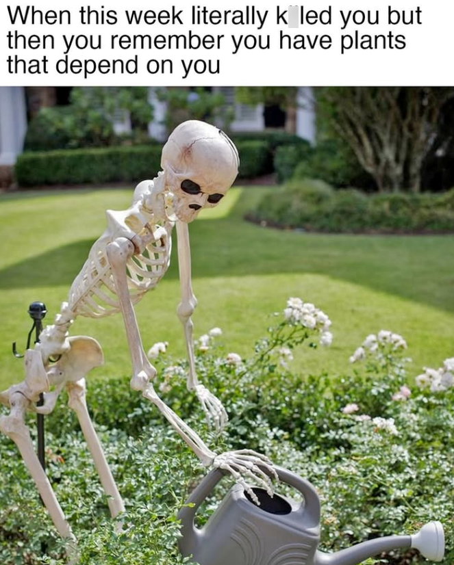 When this week literally k led you but then you remember you have plants that depend on you