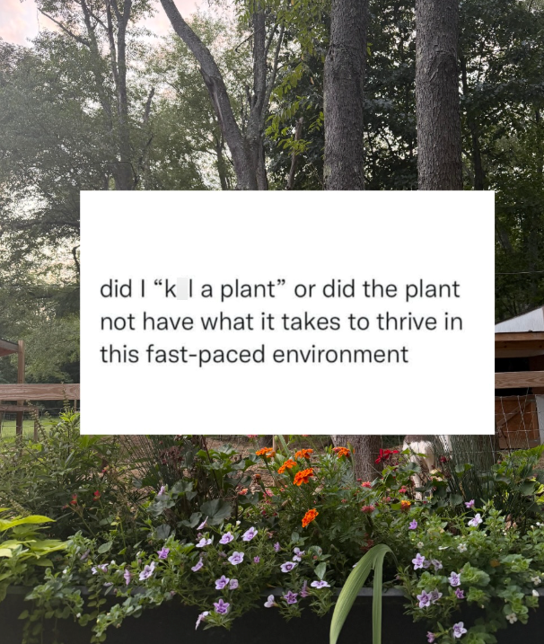 did I "k I a plant" or did the plant not have what it takes to thrive in this fast-paced environment A