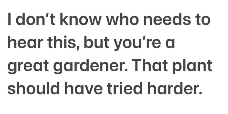 I don't know who needs to hear this, but you're a great gardener. That plant should have tried harder.