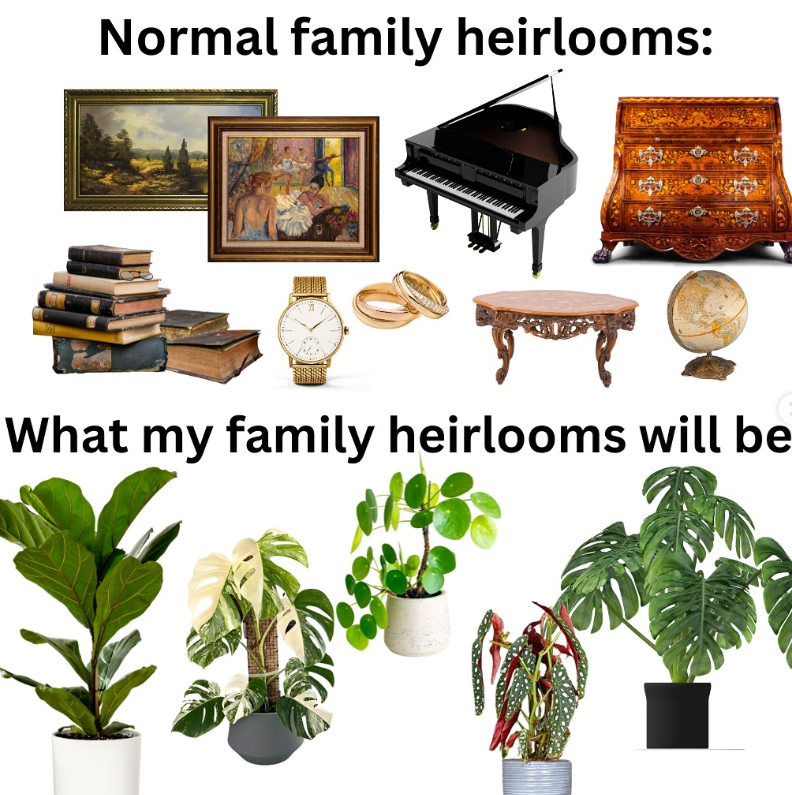 Normal family heirlooms: What my family heirlooms will be
