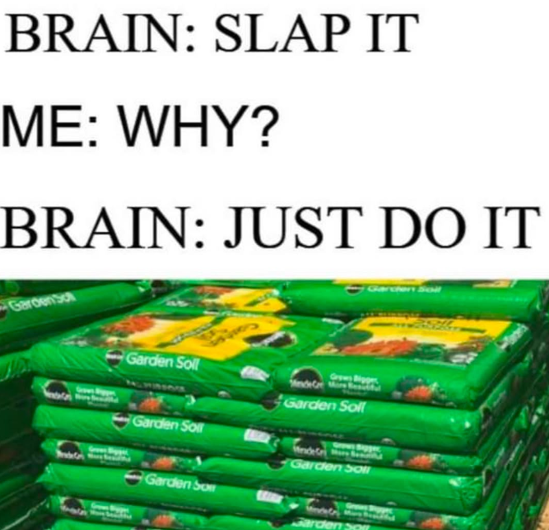 BRAIN: SLAP IT ME: WHY? BRAIN: JUST DO IT GardenSon Garden Soll Grown Bigge Mende Ce Garden Soll Garden Soll Garden So Garden Soll Garden 20