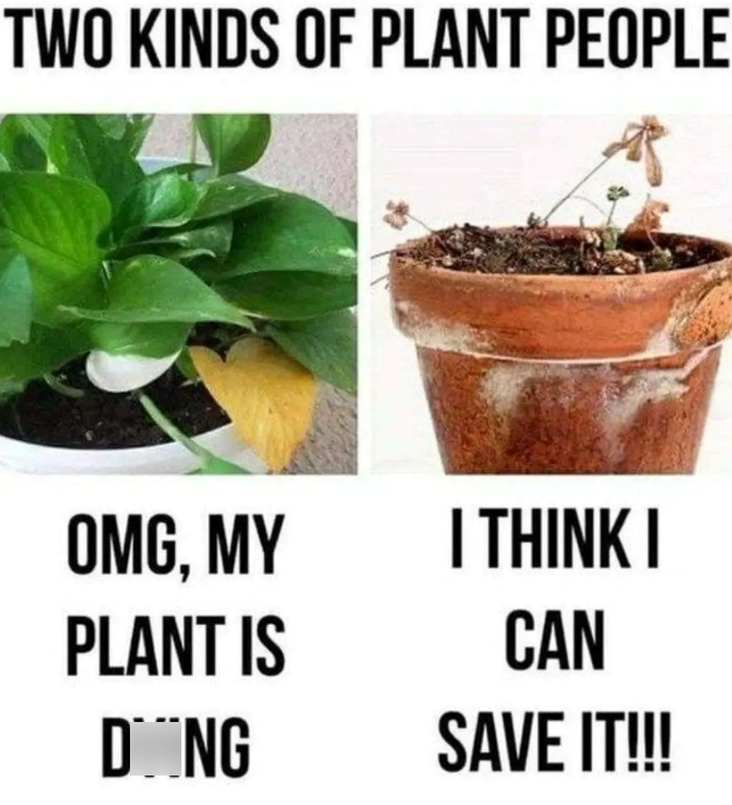 TWO KINDS OF PLANT PEOPLE OMG, MY I THINK I PLANT IS DONG CAN SAVE IT!!!