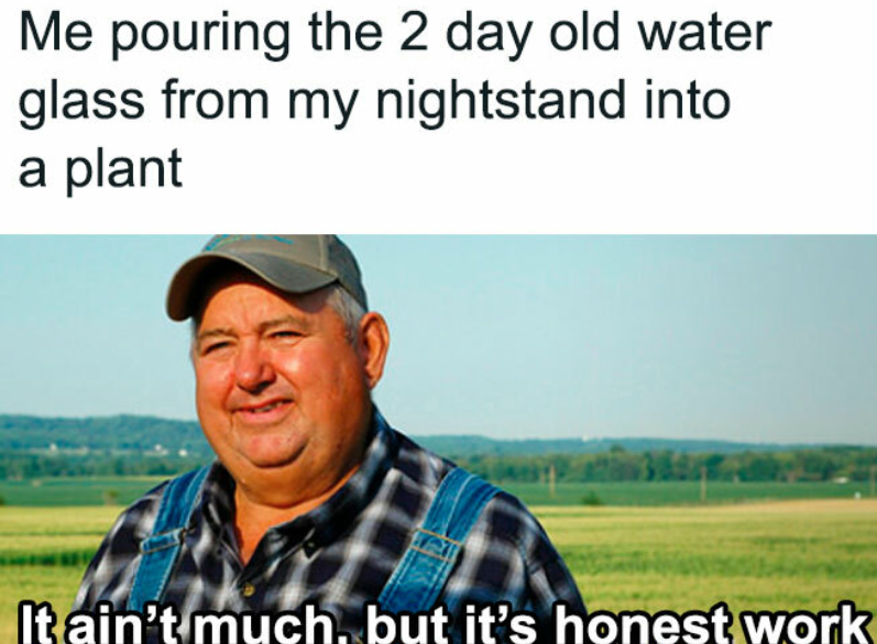 Me pouring the 2 day old water glass from my nightstand into a plant It ain't much, but it's honest work