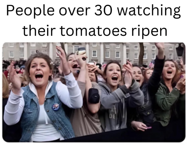 People over 30 watching their tomatoes ripen DE
